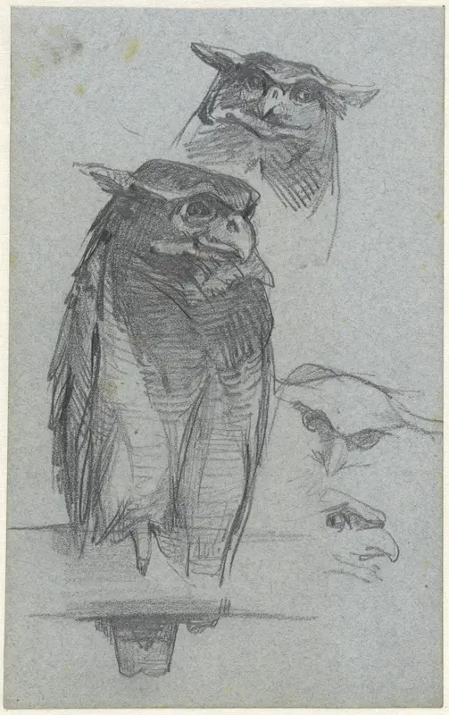 Studies van een uil Wall Art by Jac van Looij - High-Resolution Digital Print