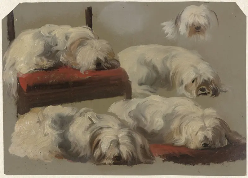 Studies van een wit schoothondje Wall Art by Guillaume Anne van der Brugghen - High-Resolution Digital Print