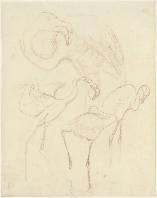 Studies van flamingo's Wall Art by Theo van Hoytema - High-Resolution Digital Print