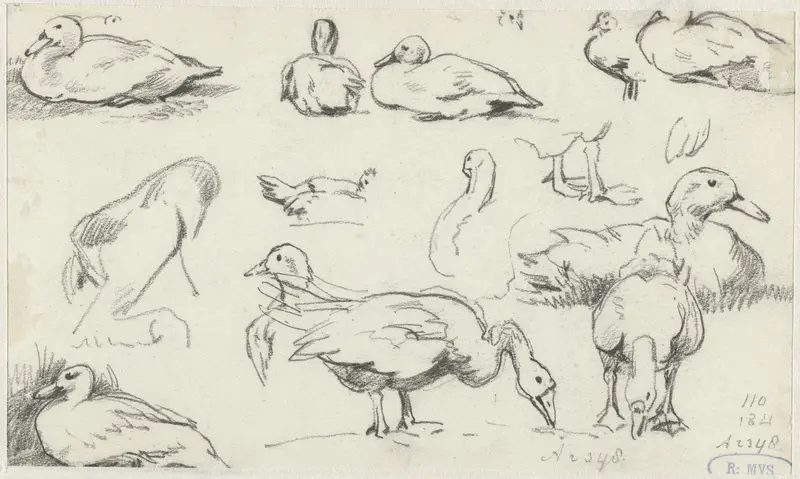 Studies van ganzen en eenden Wall Art by Guillaume Anne van der Brugghen - High-Resolution Digital Print