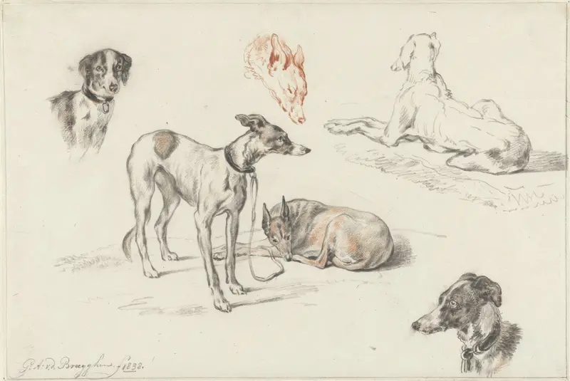 Studies van honden Wall Art by Guillaume Anne van der Brugghen - High-Resolution Digital Print
