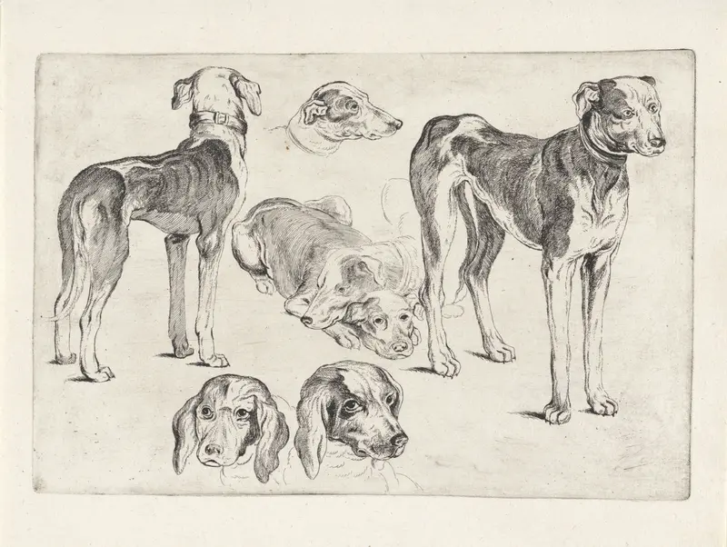 Studies van jachthonden Wall Art by Wenceslaus Hollar - High-Resolution Digital Print