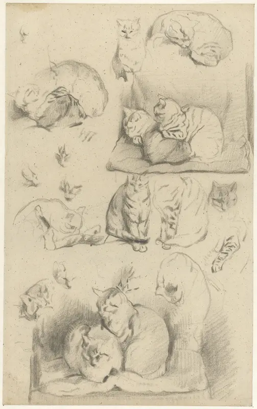 Studies van katten Wall Art by Guillaume Anne van der Brugghen - High-Resolution Digital Print