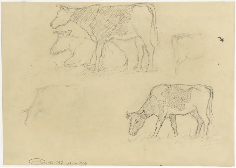 Studies van koeien