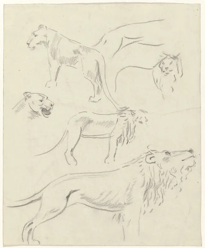 Studies van leeuwen Wall Art by Carel Adolph Lion Cachet - High-Resolution Digital Print