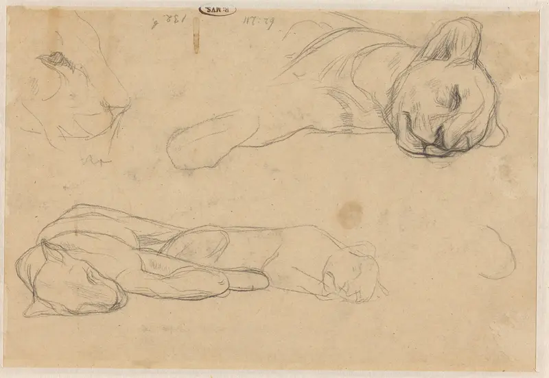 Studies van leeuwen Wall Art by Jan Veth - High-Resolution Digital Print