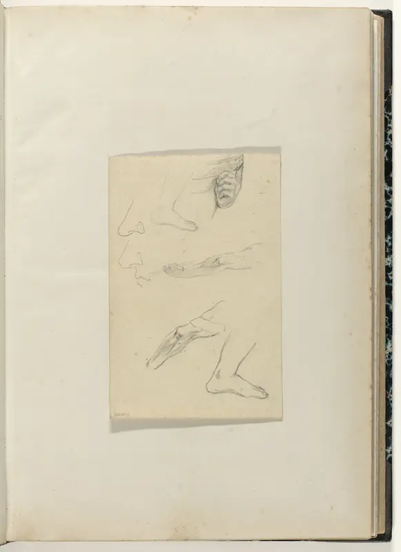 Studies van lichaamsdelen Wall Art by anonymous - High-Resolution Digital Print