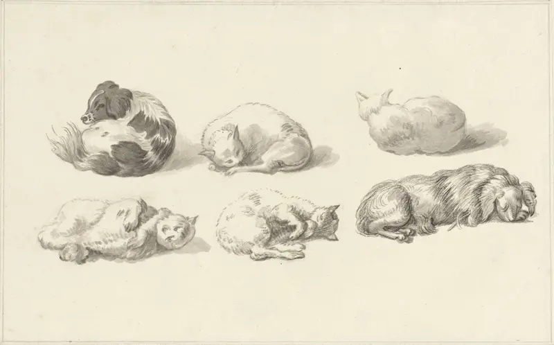 Studies van liggende honden en katten Wall Art by Unknown - High-Resolution Digital Print