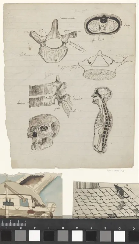 Studies van menselijke anatomie Wall Art by Carel Adolph Lion Cachet - High-Resolution Digital Print