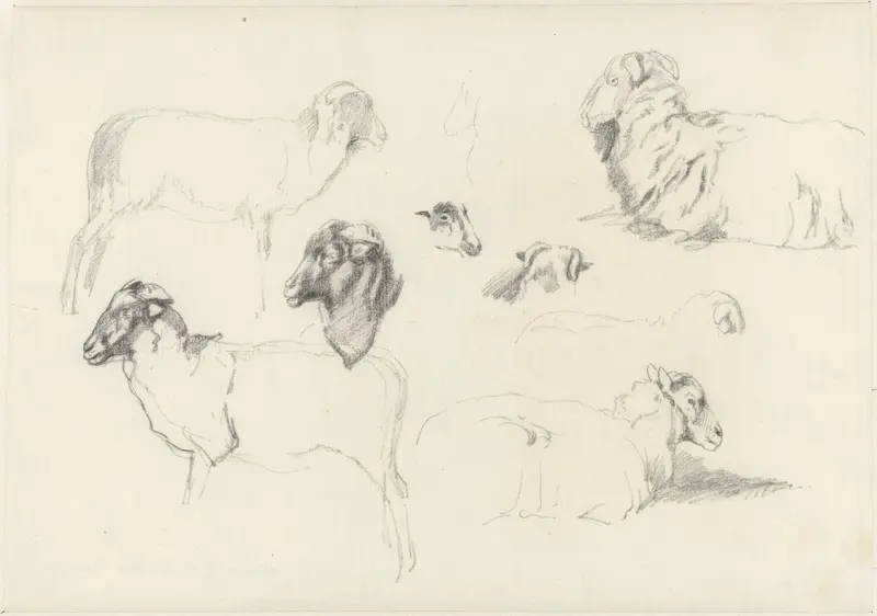 Studies van schapen Wall Art by Guillaume Anne van der Brugghen - High-Resolution Digital Print