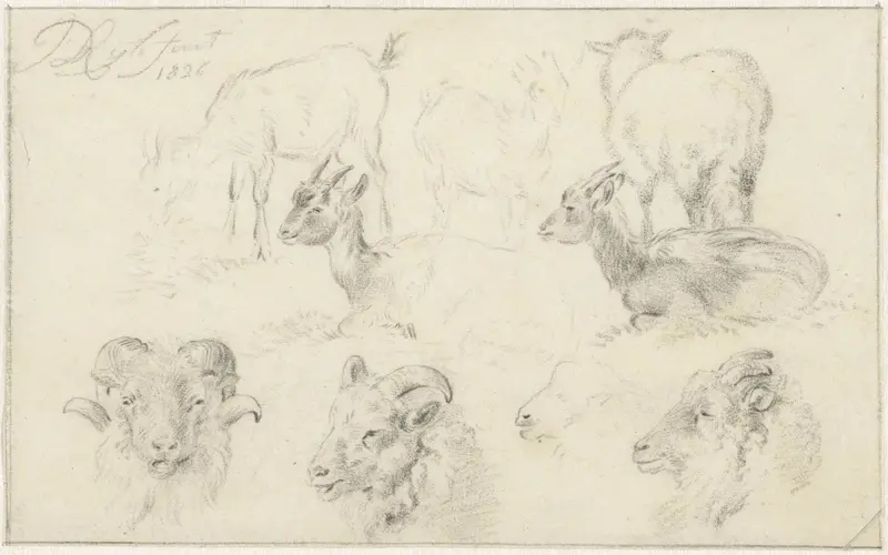 Studies van schapen en geiten Wall Art by James de Rijk - High-Resolution Digital Print