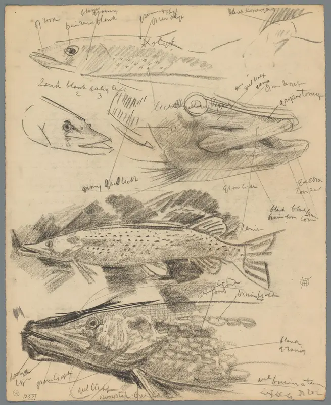 Studies van snoeken Wall Art by Unknown - High-Resolution Digital Print