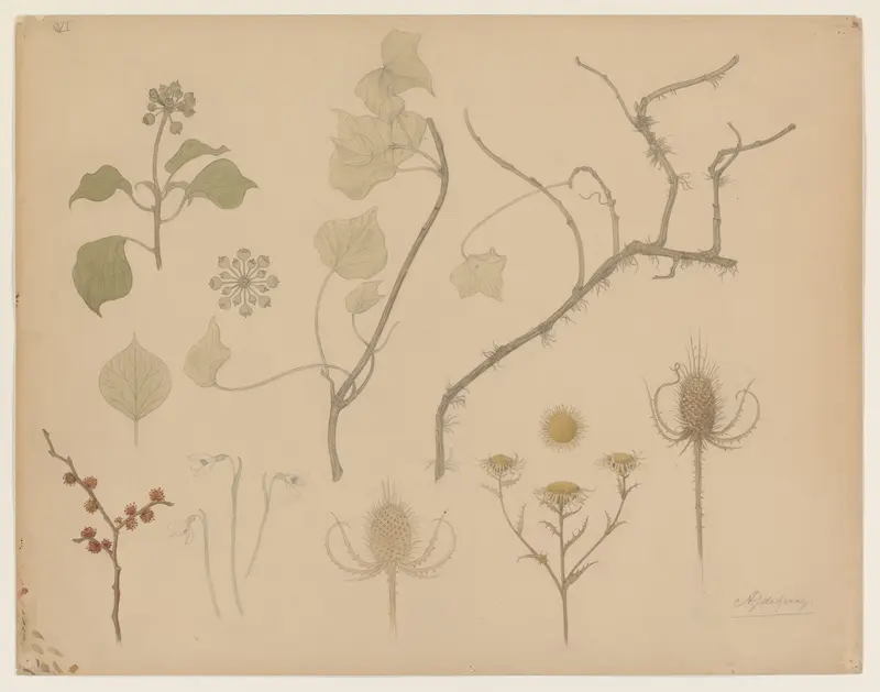 Studies van takjes, bloemen en distels Wall Art by Julie de Graag - High-Resolution Digital Print
