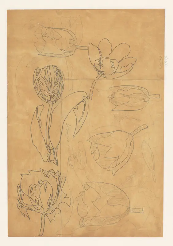 Studies van tulpen Wall Art by Theo Colenbrander - High-Resolution Digital Print