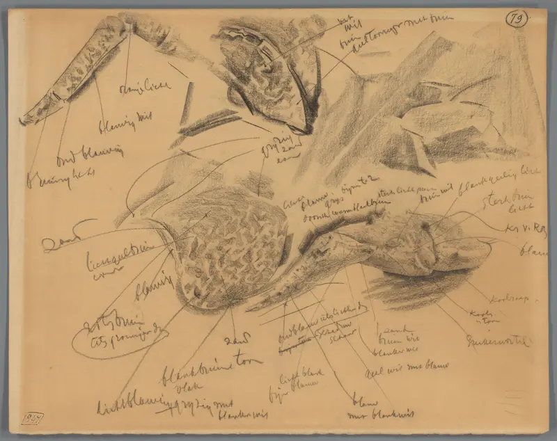 Studies van verschillende lichaamsdelen van een kreeft Wall Art by Gerrit Willem Dijsselhof - High-Resolution Digital Print