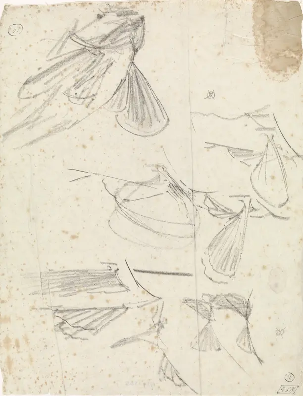 Studies van vinnen en een poon Wall Art by Gerrit Willem Dijsselhof - High-Resolution Digital Print