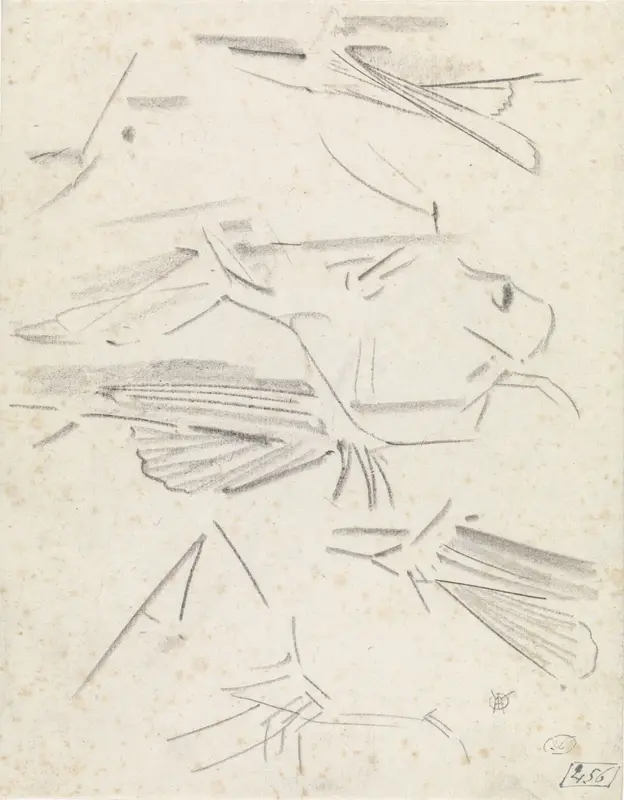 Studies van vinnen Wall Art by Gerrit Willem Dijsselhof - High-Resolution Digital Print