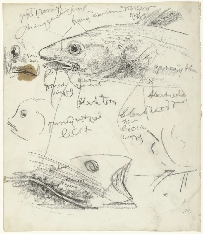 Studies van vissen, met kleurnotities Wall Art by Gerrit Willem Dijsselhof - High-Resolution Digital Print