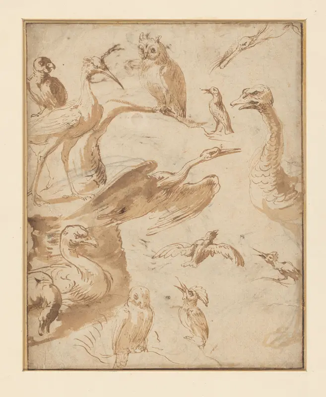 Studies van vogels Wall Art by Unknown - High-Resolution Digital Print