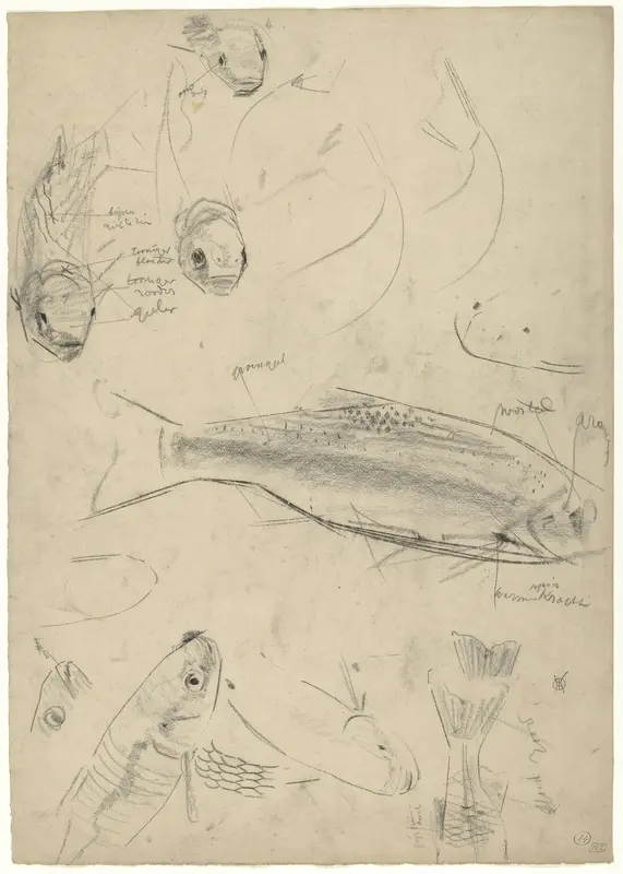 Studies van voorns, met kleurnotities Wall Art by Gerrit Willem Dijsselhof - High-Resolution Digital Print