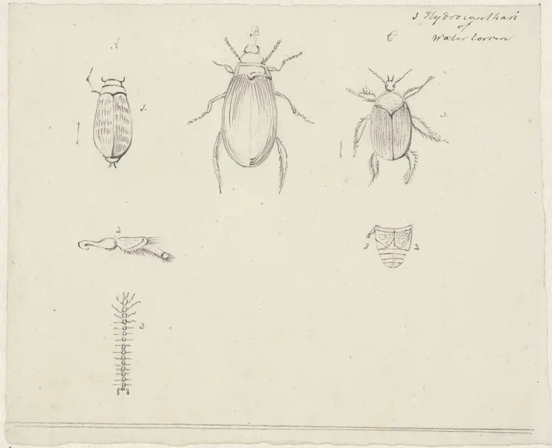 Studies van watertorren Wall Art by Unknown - High-Resolution Digital Print