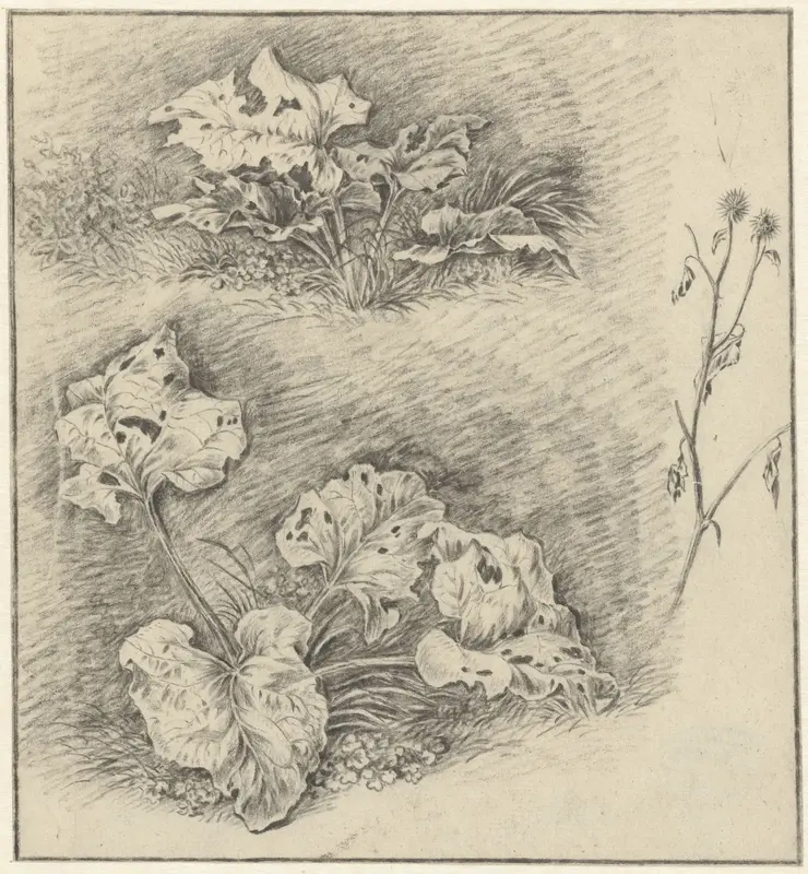 Studies van weideplanten Wall Art by Pieter Janson - High-Resolution Digital Print
