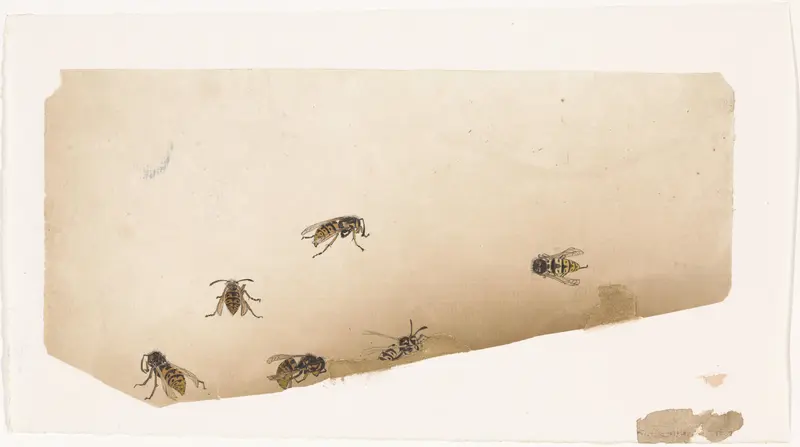 Studies van wespen Wall Art by Julie de Graag - High-Resolution Digital Print