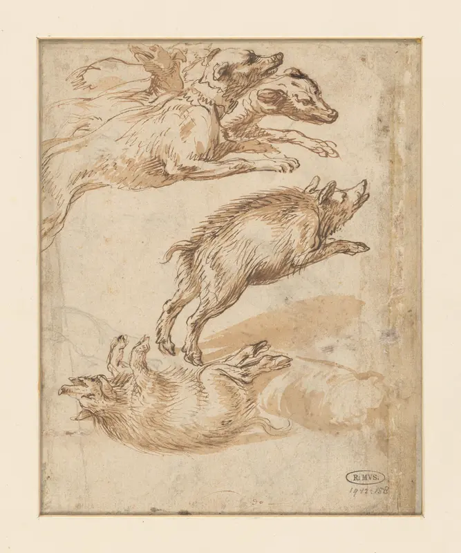 Studies van wilde zwijnen en een groep honden Wall Art by Unknown - High-Resolution Digital Print