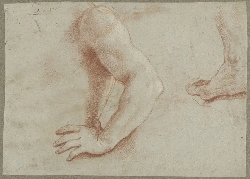 Studies voor lichaamsdelen van de heilige Floriaan Wall Art by Guido Reni - High-Resolution Digital Print
