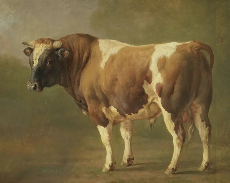 Study of a Bull Wall Art by Jacques Raymond Brascassat - High-Resolution Digital Print