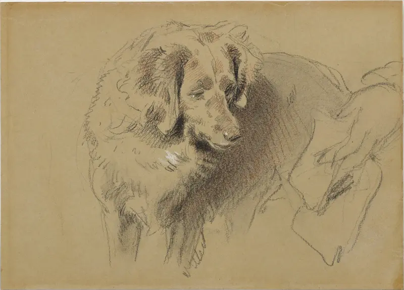 Study of a dog Wall Art by Sir Edwin Henry Landseer - High-Resolution Digital Print