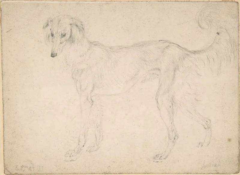 Study of a feathered saluki, facing left Wall Art by Sir Edwin Henry Landseer - High-Resolution Digital Print