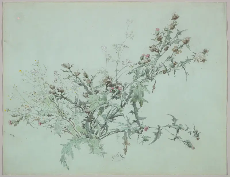 Study of a Flowering Thistle Wall Art by Carl Georg Anton Graeb - High-Resolution Digital Print