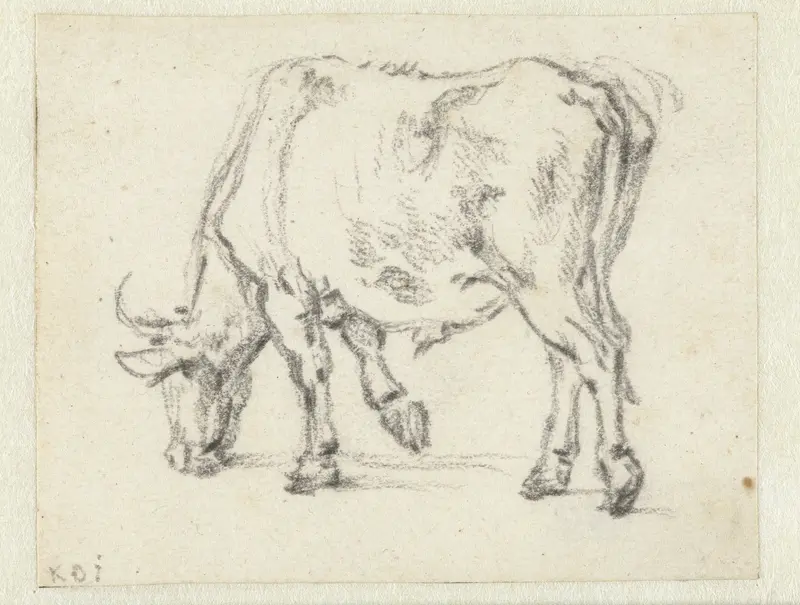 Study of a Grazing Bull, Facing Left Wall Art by Unknown - High-Resolution Digital Print