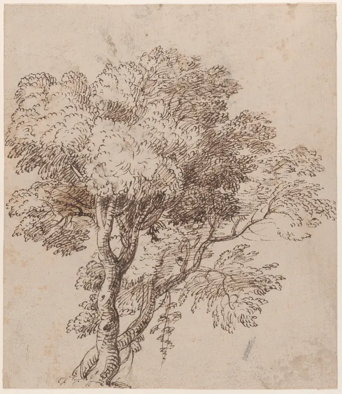 Study of a Group of Trees Wall Art by Nicolas Poussin - High-Resolution Digital Print