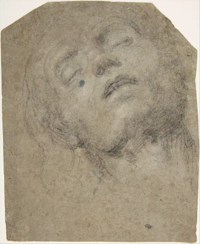Study of a Head Wall Art by Giovanni Gerolamo Savoldo - High-Resolution Digital Print