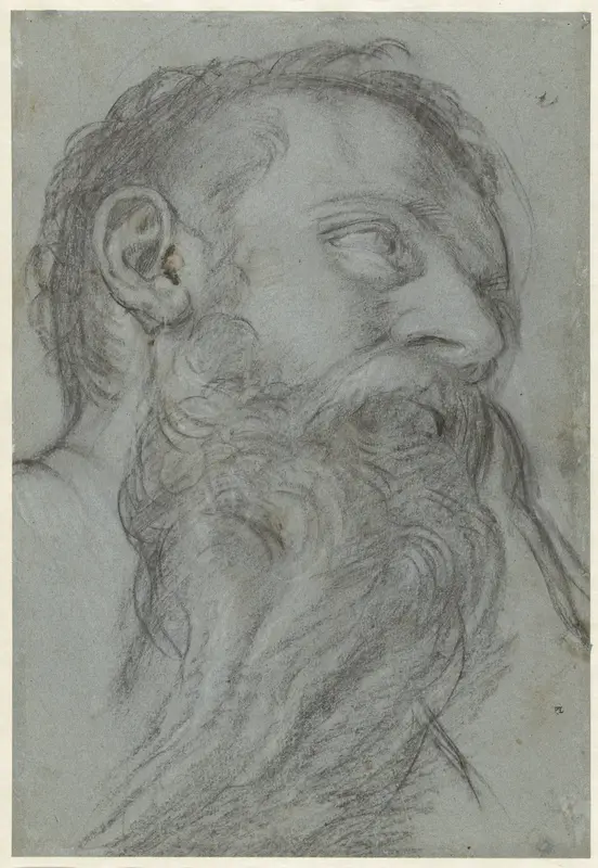 Study of a Head of a Prophet Wall Art by Girolamo Muziano - High-Resolution Digital Print