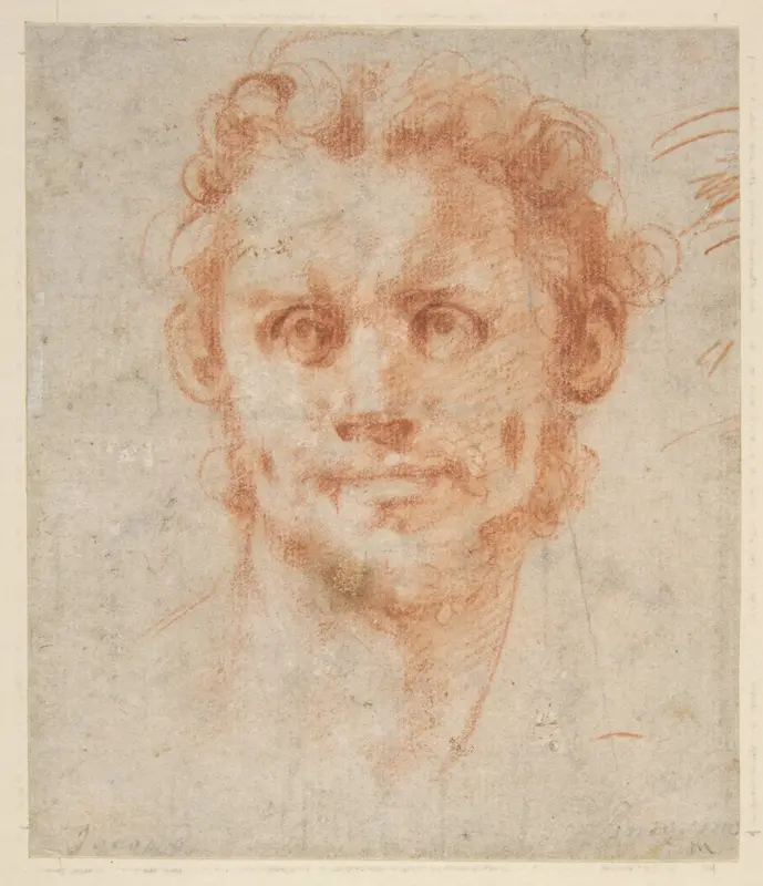 Study of a Man's Head Wall Art by Jacopo da Pontormo (Jacopo Carucci) - High-Resolution Digital Print