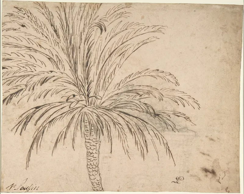 Study of a Palm Tree (recto); Mountain Landscape (verso) Wall Art by Nicolas Poussin - High-Resolution Digital Print