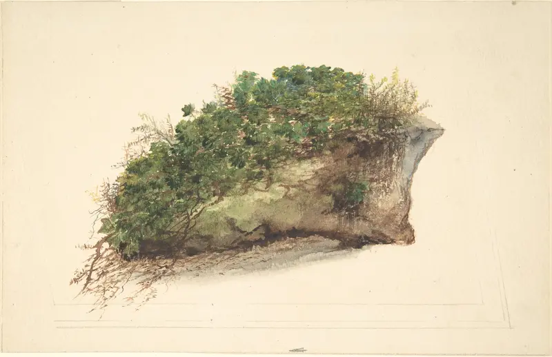 Study of a piece of turf Wall Art by Anonymous, British, early 19th century - High-Resolution Digital Print