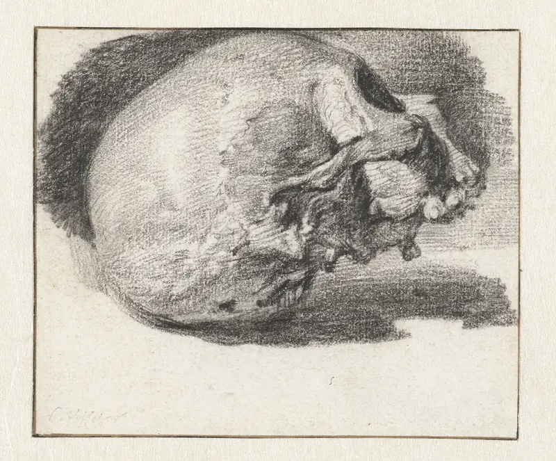Study of a Skull, Facing Right Wall Art by Cornelis Visscher (II) - High-Resolution Digital Print