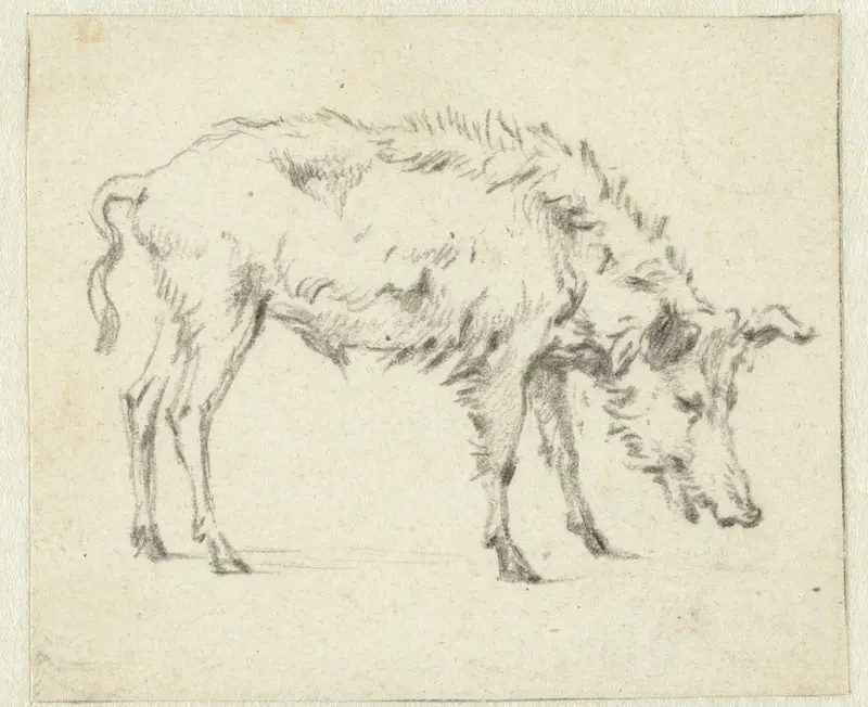 Study of a Standing Boar, Facing Right Wall Art by Unknown - High-Resolution Digital Print