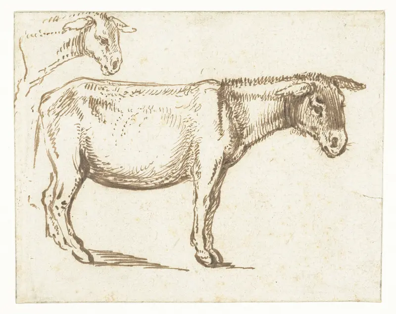 Study of a Standing Donkey Wall Art by Unknown - High-Resolution Digital Print