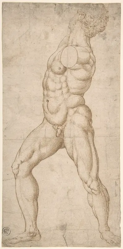 Study of a Standing Male Nude Wall Art by Anonymous, Netherlandish, 16th century - High-Resolution Digital Print