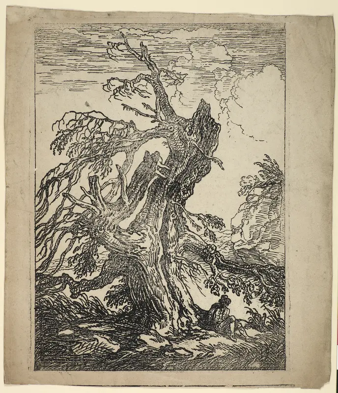Study of a Tree Wall Art by Raphael Lamar West - High-Resolution Digital Print