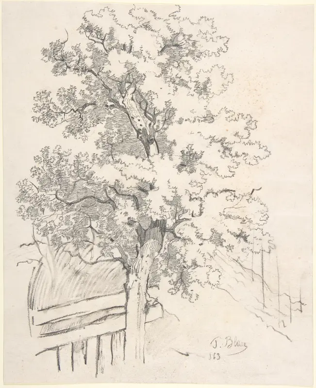 Study of a Tree Wall Art by Tina Blau - High-Resolution Digital Print