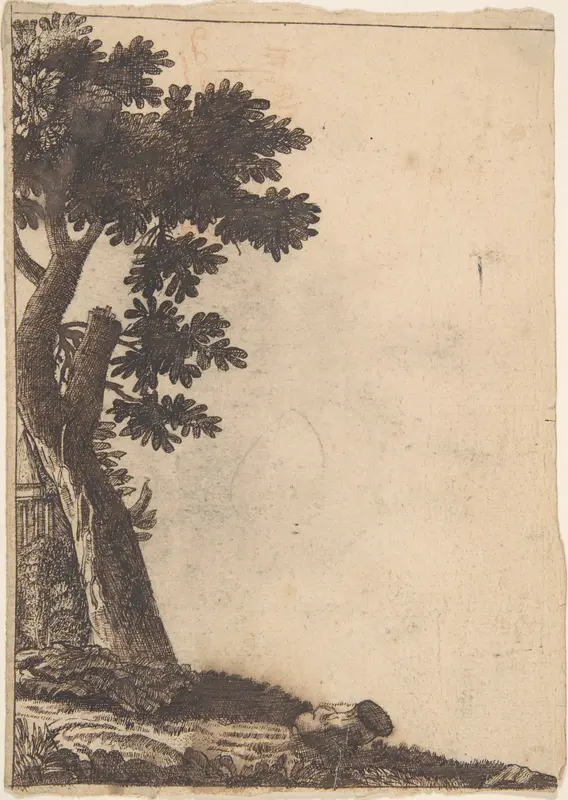 Study of a Tree Wall Art by Anonymous, Netherlandish, 16th century - High-Resolution Digital Print