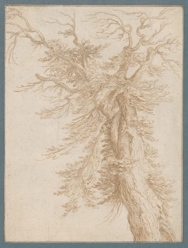 Study of a Tree Wall Art by Jacques de Gheyn II - High-Resolution Digital Print