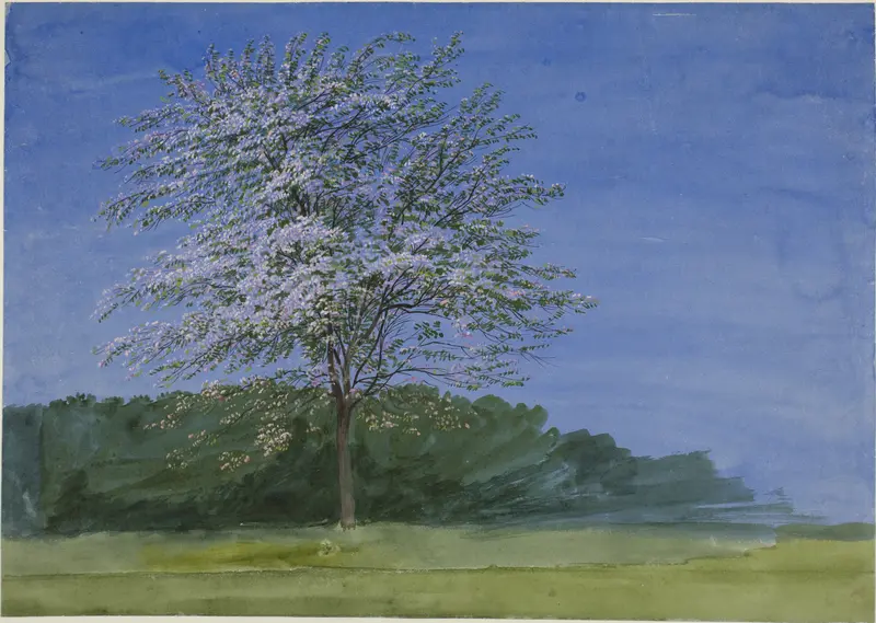 Study of a Tree in Bloom Wall Art by William Turner - High-Resolution Digital Print