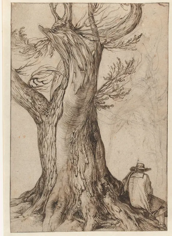 Study of a tree trunk Wall Art by Jacques de Gheyn (II) - High-Resolution Digital Print